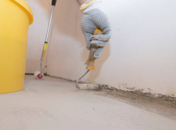 Best Pest Control for Multi-Family Homes  in Desert Hills, AZ